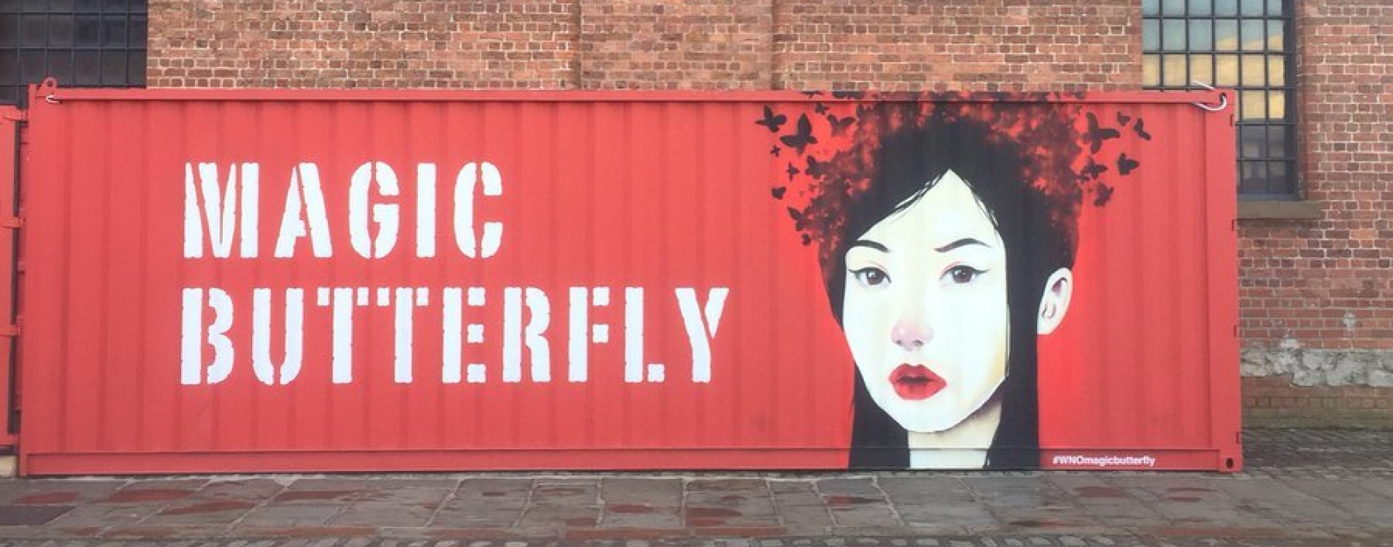 091117 Twitter Magic Butterfly