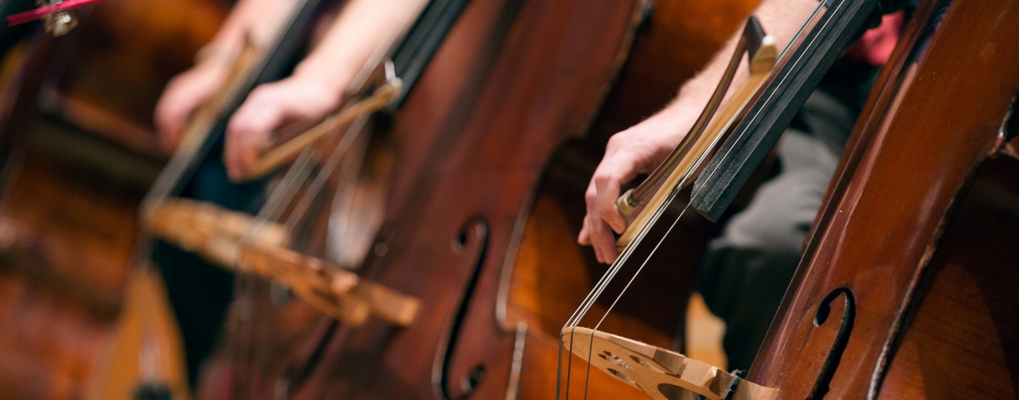 Close up image of a person playing the double bass.