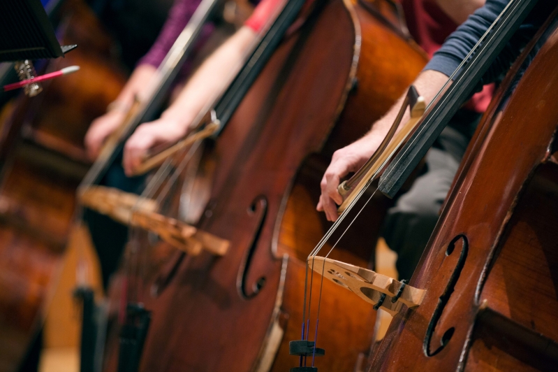 Close up image of a person playing the double bass.