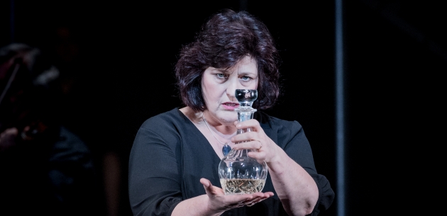 WNO Le Vin Herbé Catherine Wyn Rogers Iseults Mother Photo Credit Robert Workman 060