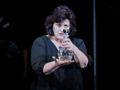WNO Le Vin Herbé Catherine Wyn Rogers Iseults Mother Photo Credit Robert Workman 060