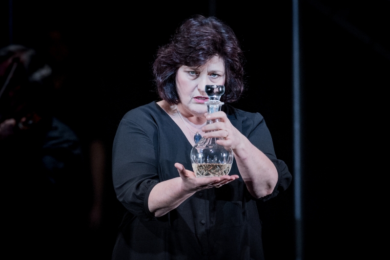 WNO Le Vin Herbé Catherine Wyn Rogers Iseults Mother Photo Credit Robert Workman 060