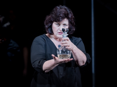 WNO Le Vin Herbé Catherine Wyn Rogers Iseults Mother Photo Credit Robert Workman 060