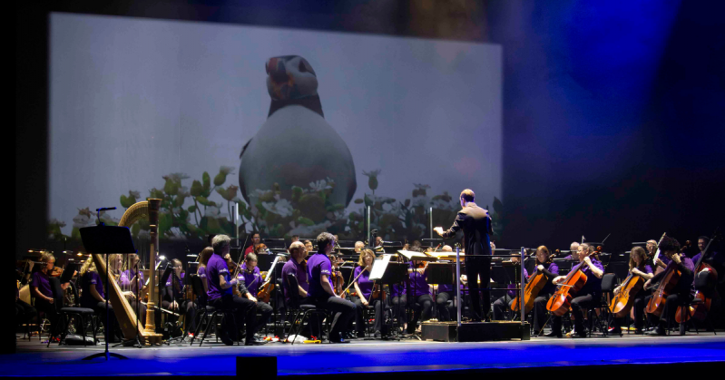 Schools Concert 2025