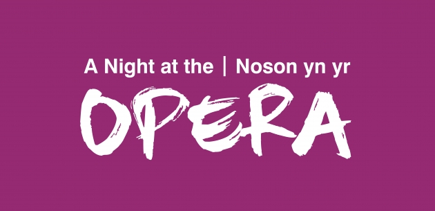 WNO Night at the Opera landscape v2